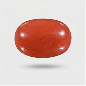 Natural Red Coral (Moonga) Gemstone – 10 Ratti Premium Quality Stone